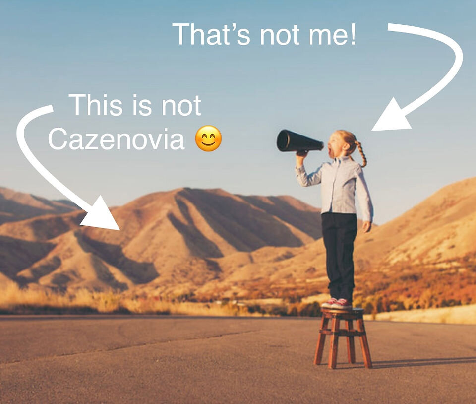 2022 Cazenovia Art Trail
