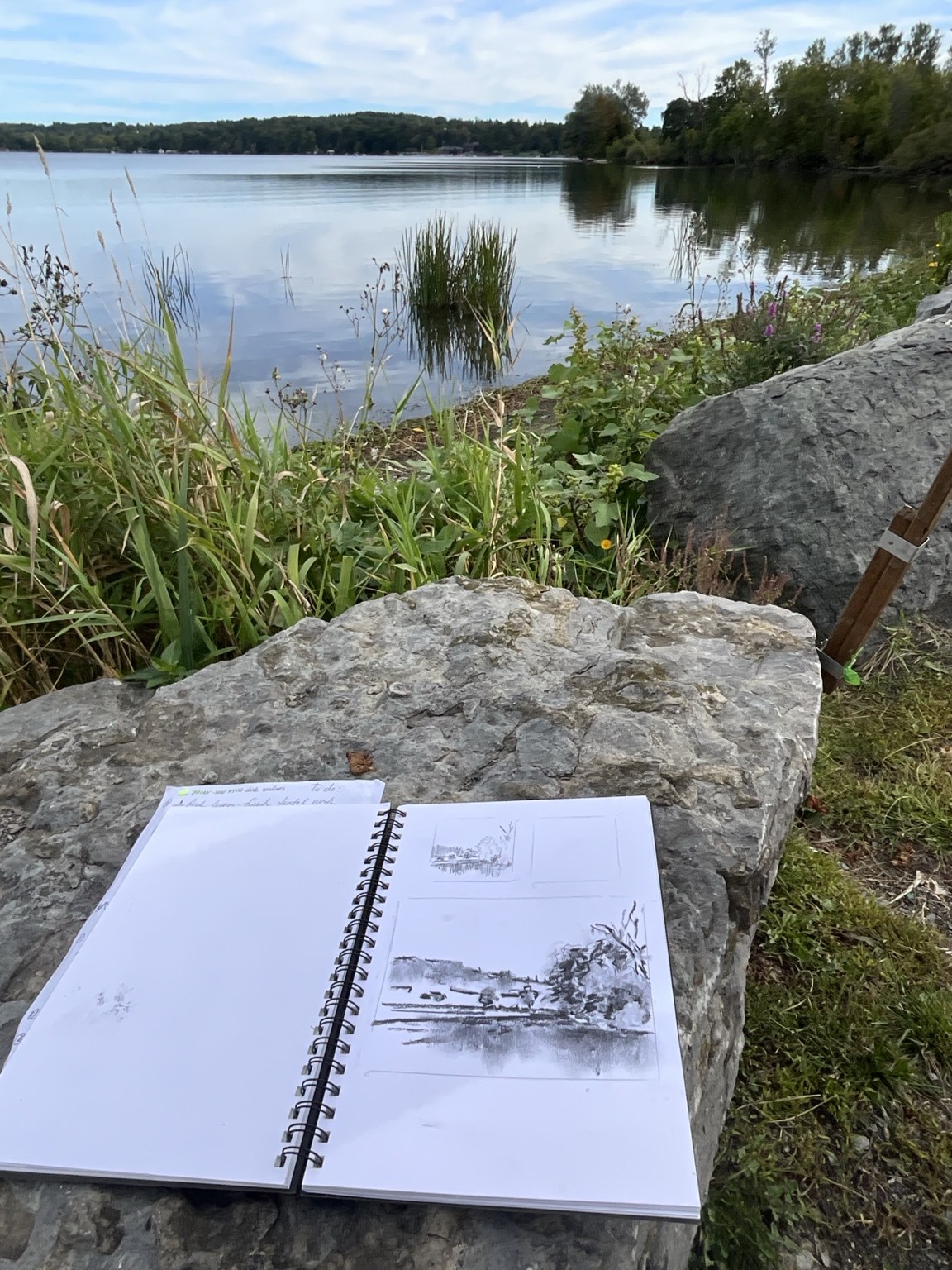 A lakeside sketchbook study