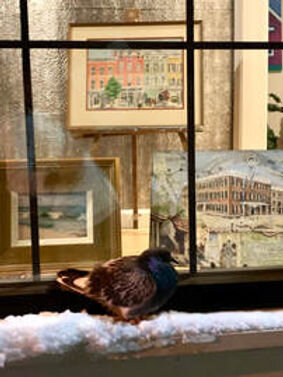 A peek through the froghappy studio window